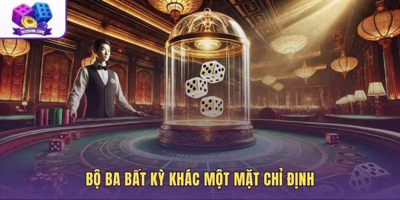 So sánh bộ ba bất kỳ và bộ ba chỉ định