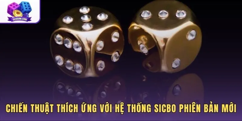Chiến thuật quản lý vốn khi cập nhật thuật toán Sicbo